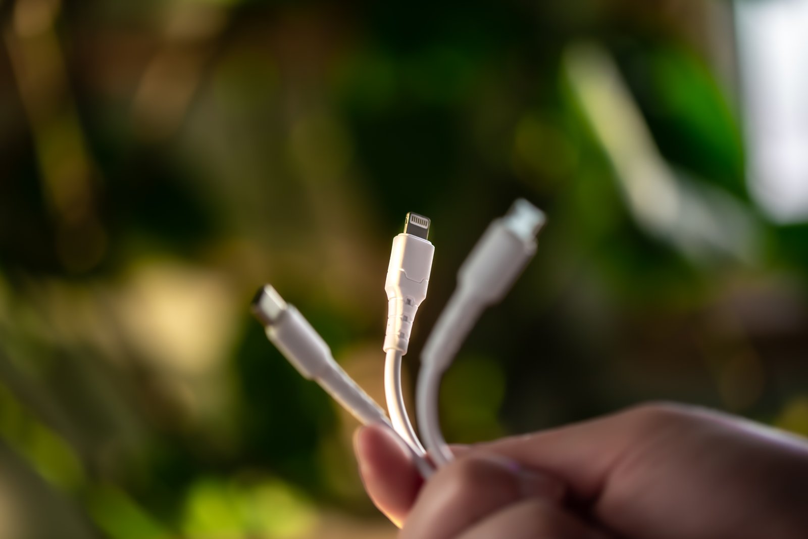 banner-img
